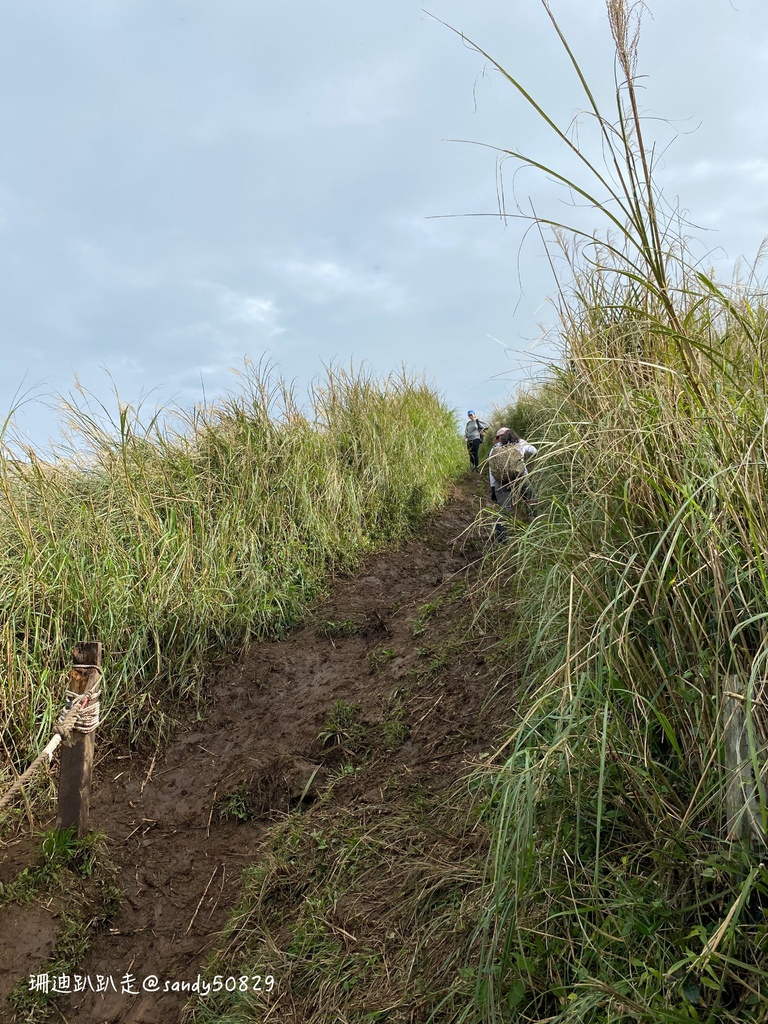 Photo 2020-12-27, 09 56 31_batch.jpg