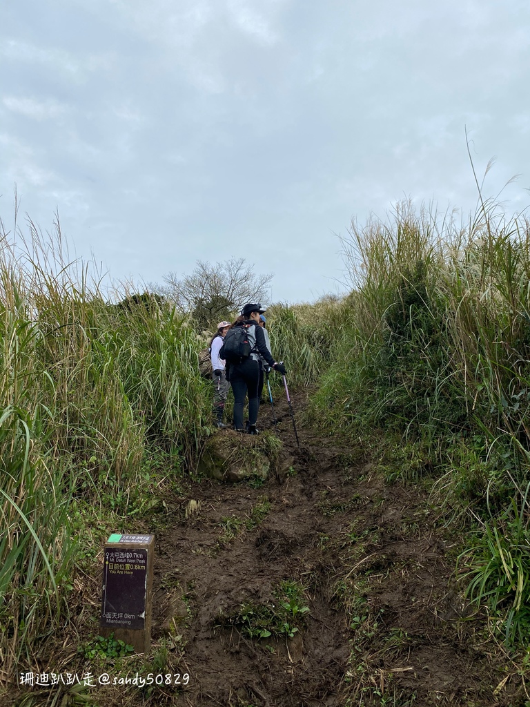 Photo 2020-12-27, 10 04 39_batch.jpg