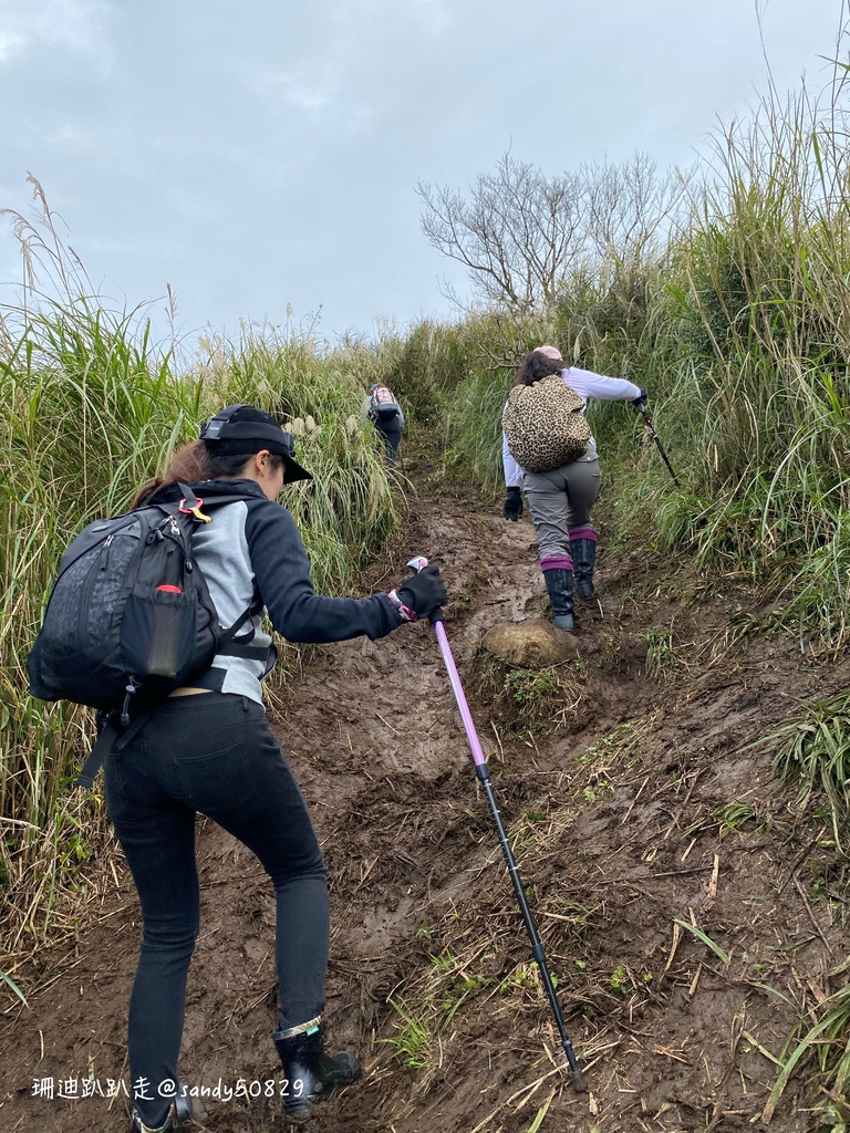 Photo 2020-12-27, 10 05 50_batch.jpg