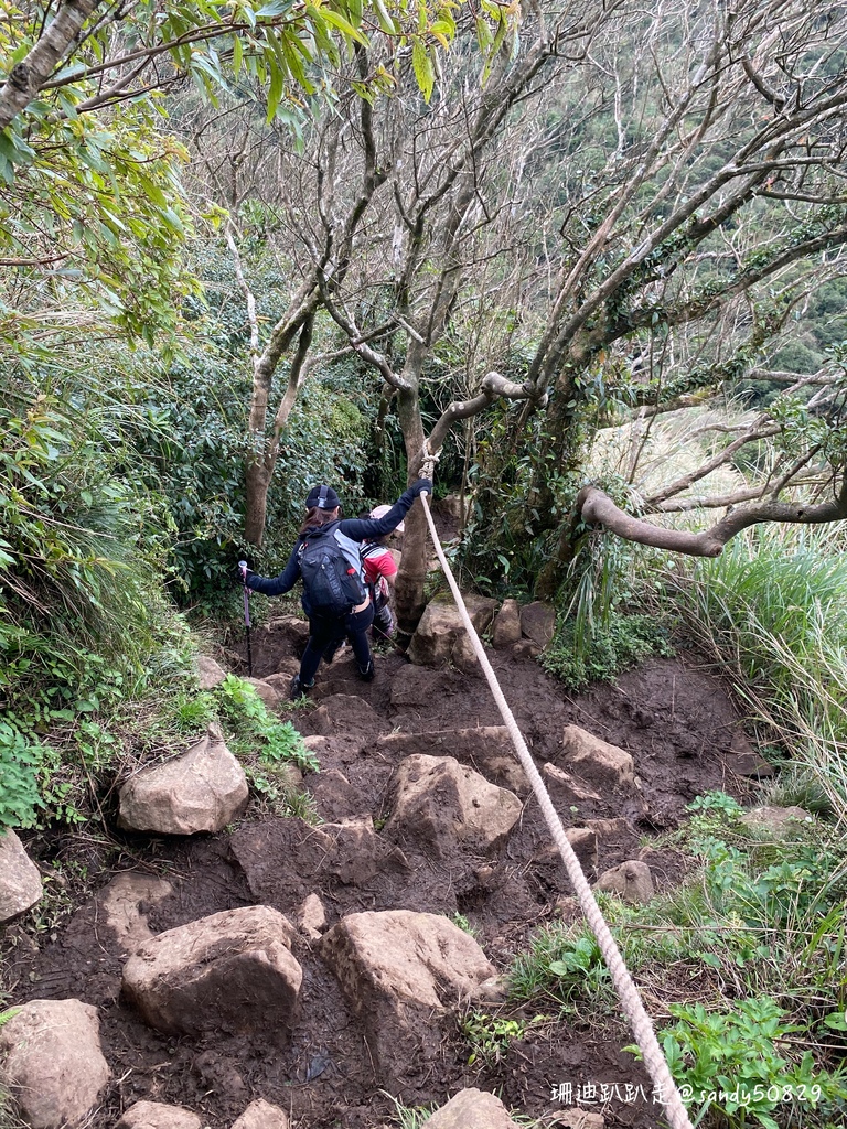 Photo 2020-12-27, 10 44 00_batch.jpg