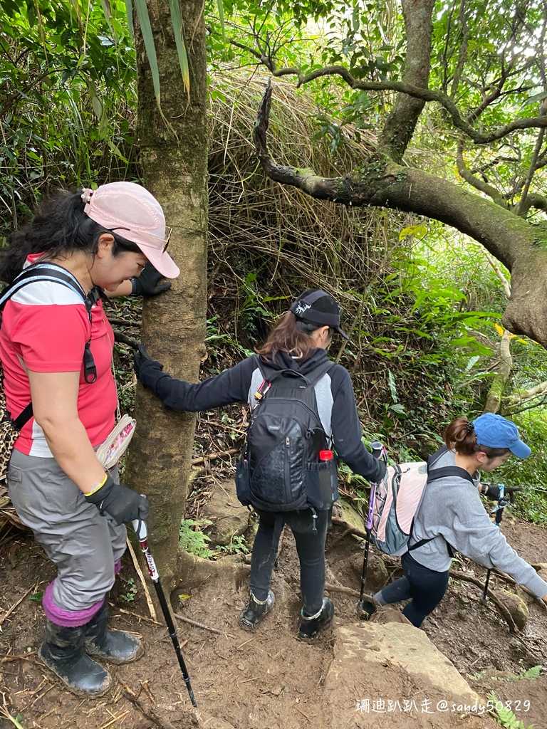 Photo 2020-12-27, 10 55 41_batch.jpg