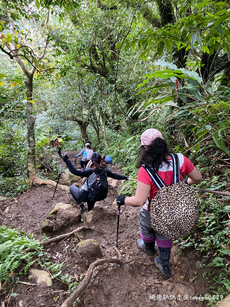 Photo 2020-12-27, 10 56 27_batch.jpg