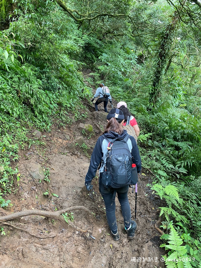 Photo 2020-12-27, 11 02 24_batch.jpg