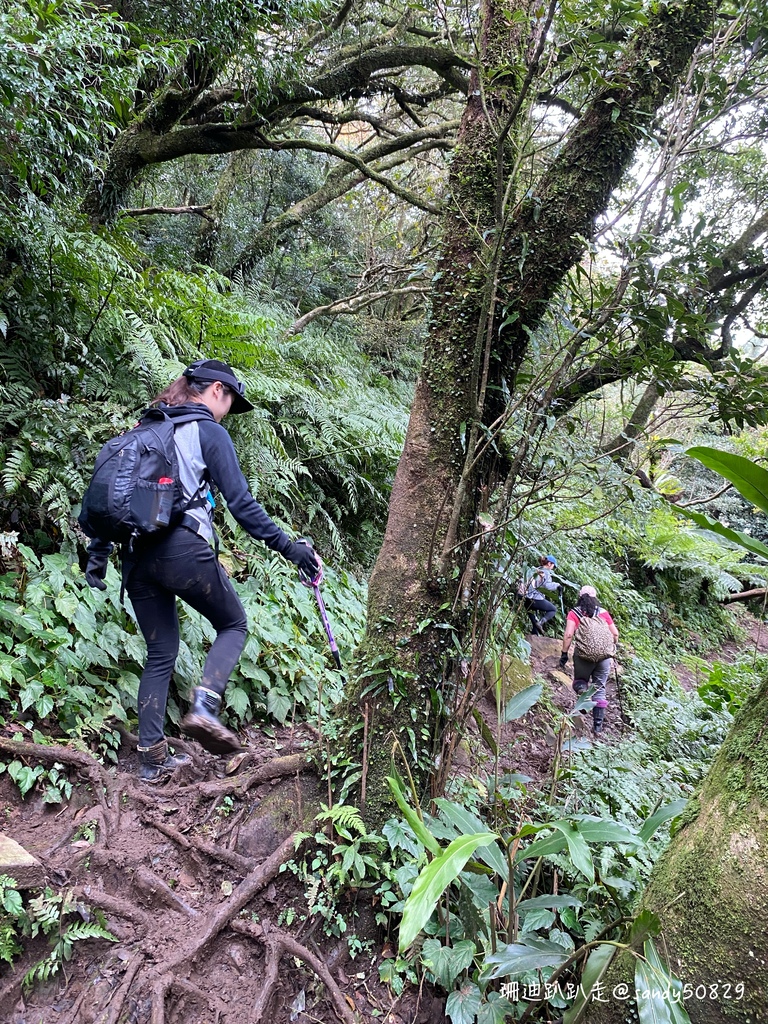 Photo 2020-12-27, 11 04 58_batch.jpg