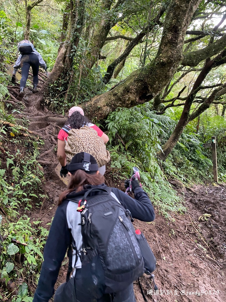 Photo 2020-12-27, 11 09 58_batch.jpg