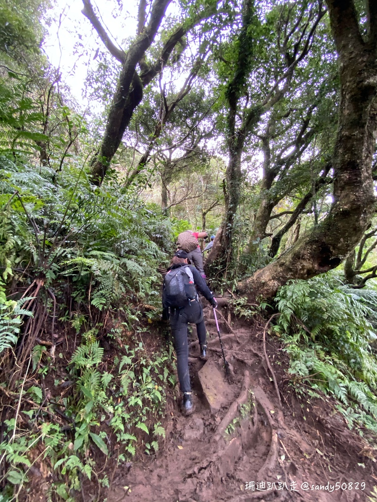 Photo 2020-12-27, 11 10 08_batch.jpg