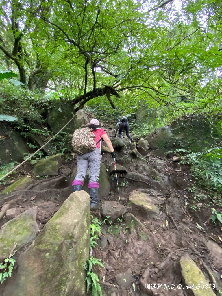 Photo 2020-12-27, 11 16 11_batch.jpg