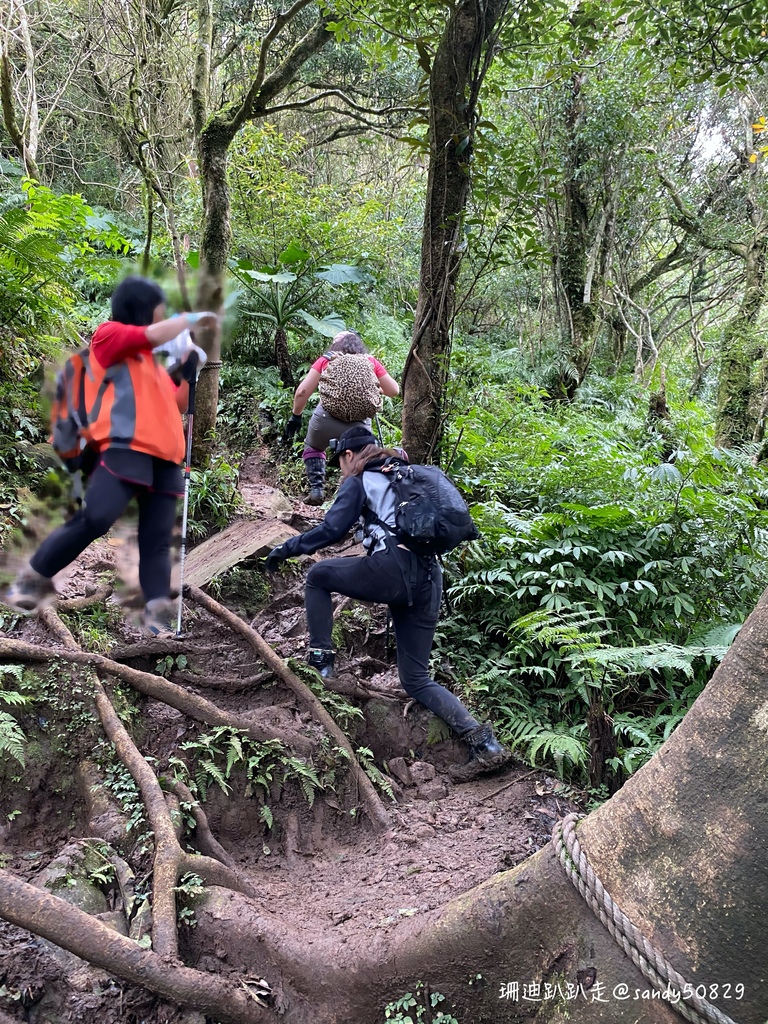 Photo 2020-12-27, 11 11 19_batch.jpg