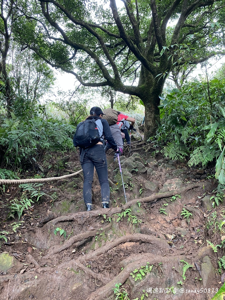 Photo 2020-12-27, 11 22 06_batch.jpg