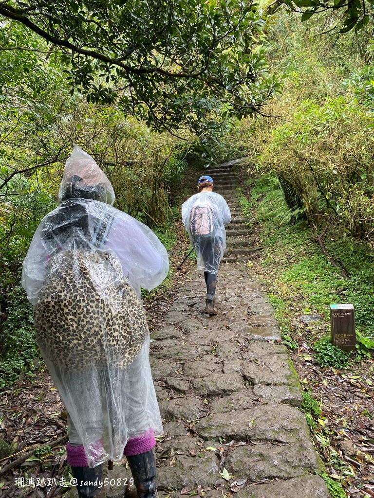 Photo 2020-12-27, 12 06 47_batch.jpg