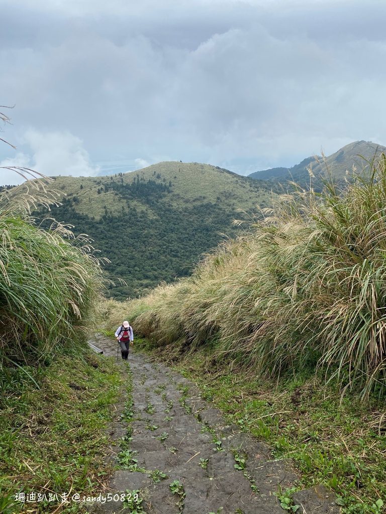 Photo 2020-12-27, 12 34 13_batch.jpg