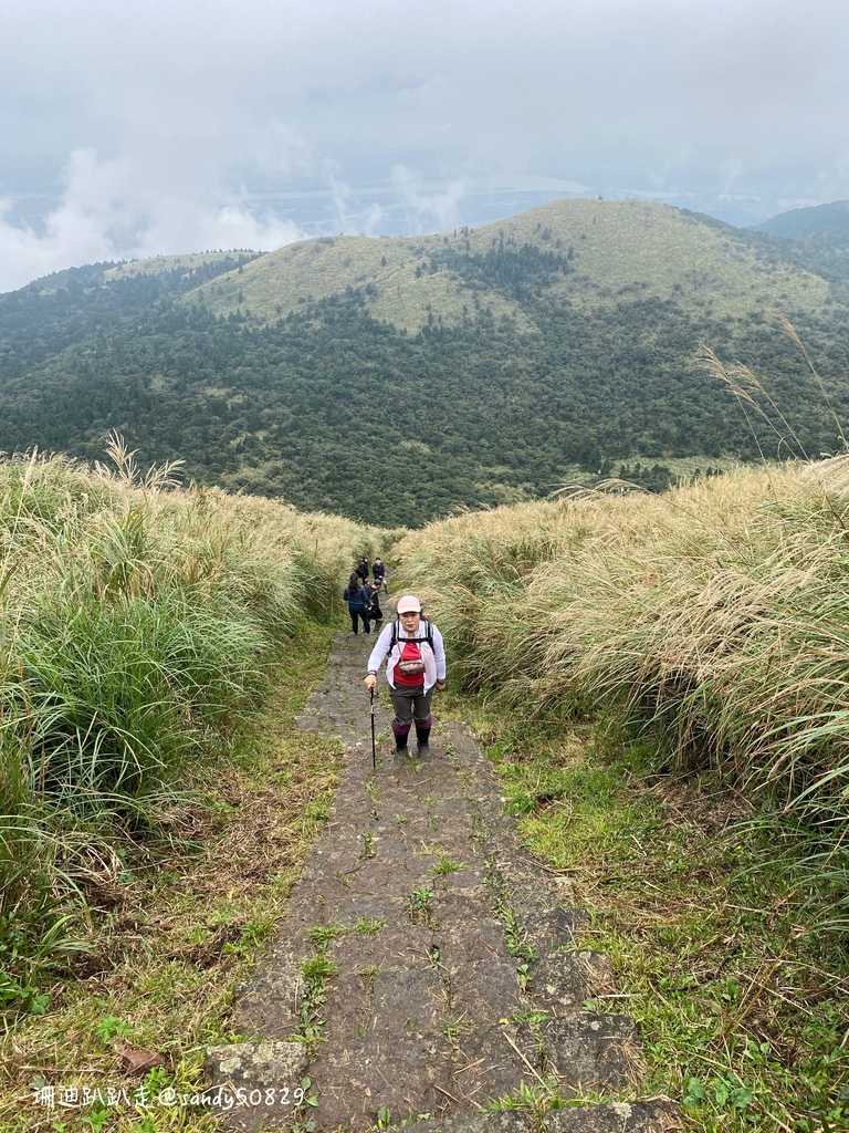 Photo 2020-12-27, 12 37 02_batch.jpg