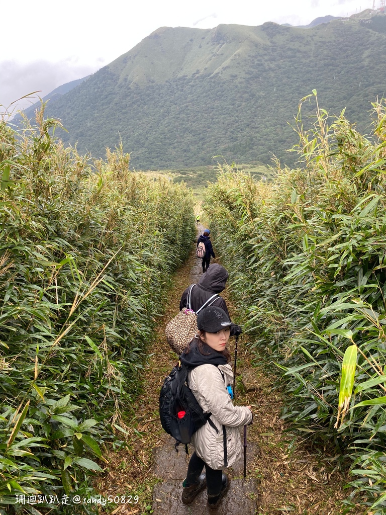 Photo 2020-12-27, 13 30 38_batch.jpg