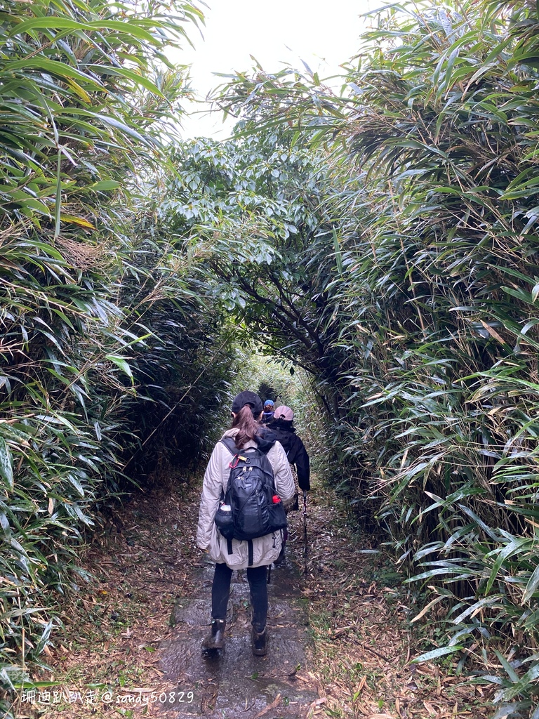 Photo 2020-12-27, 13 44 03_batch.jpg