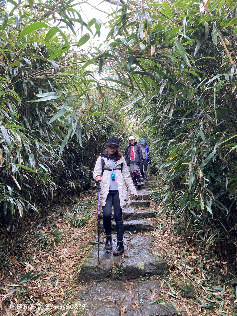 Photo 2020-12-27, 13 52 27_batch.jpg