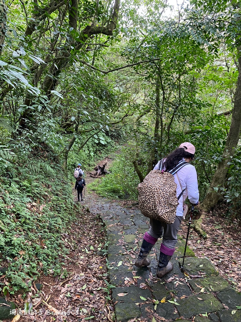 Photo 2020-12-27, 14 09 49_batch.jpg
