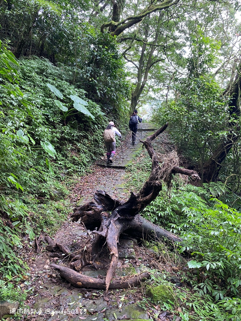 Photo 2020-12-27, 14 11 22_batch.jpg