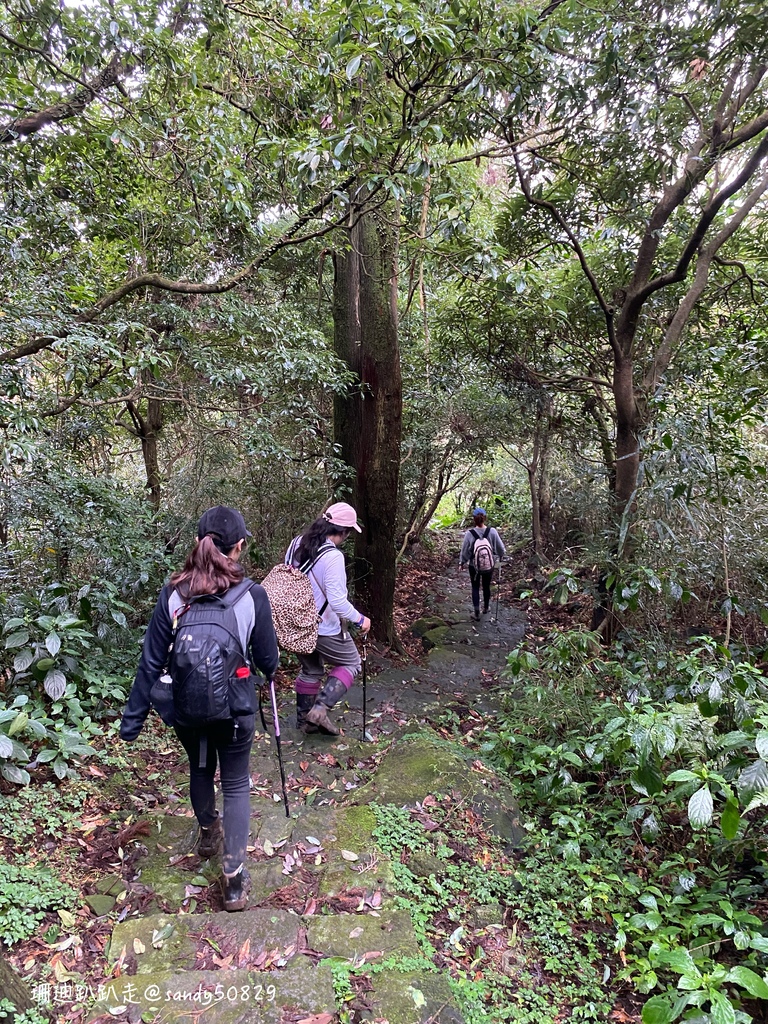 Photo 2020-12-27, 14 17 03_batch.jpg