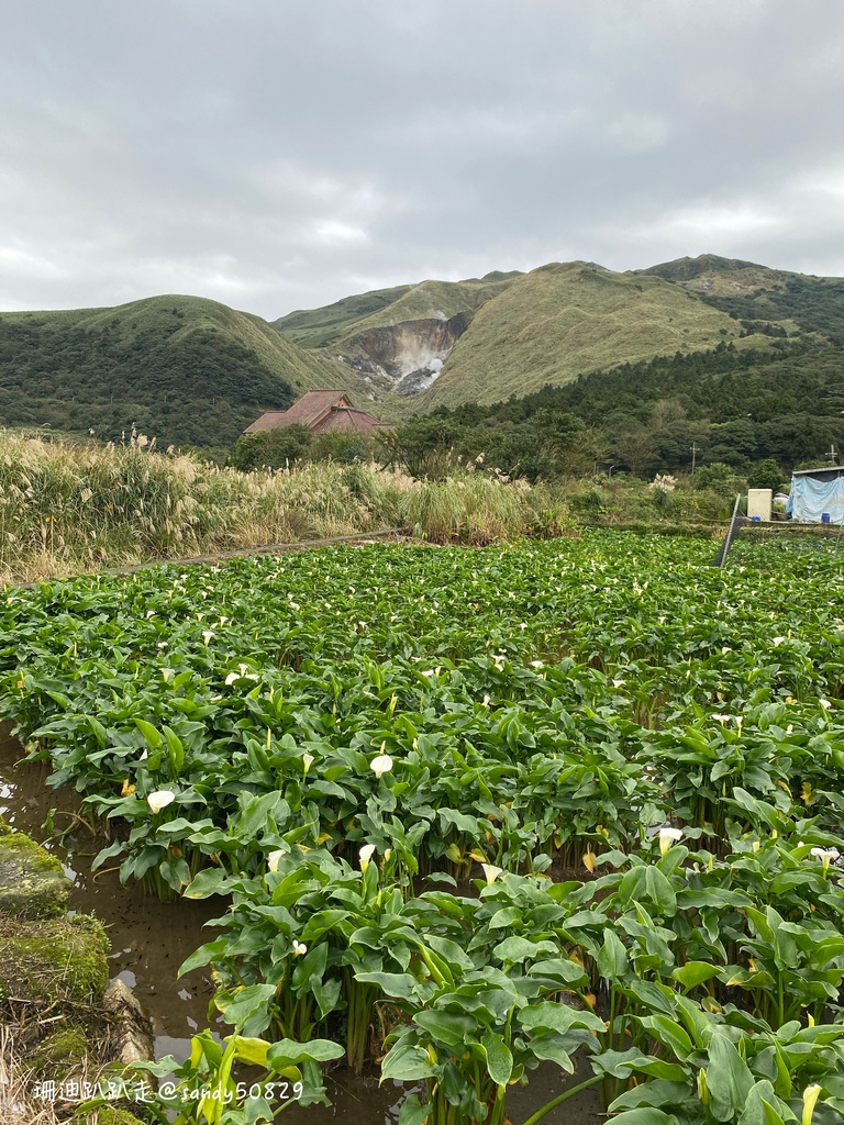 Photo 2020-12-27, 14 48 12_batch.jpg