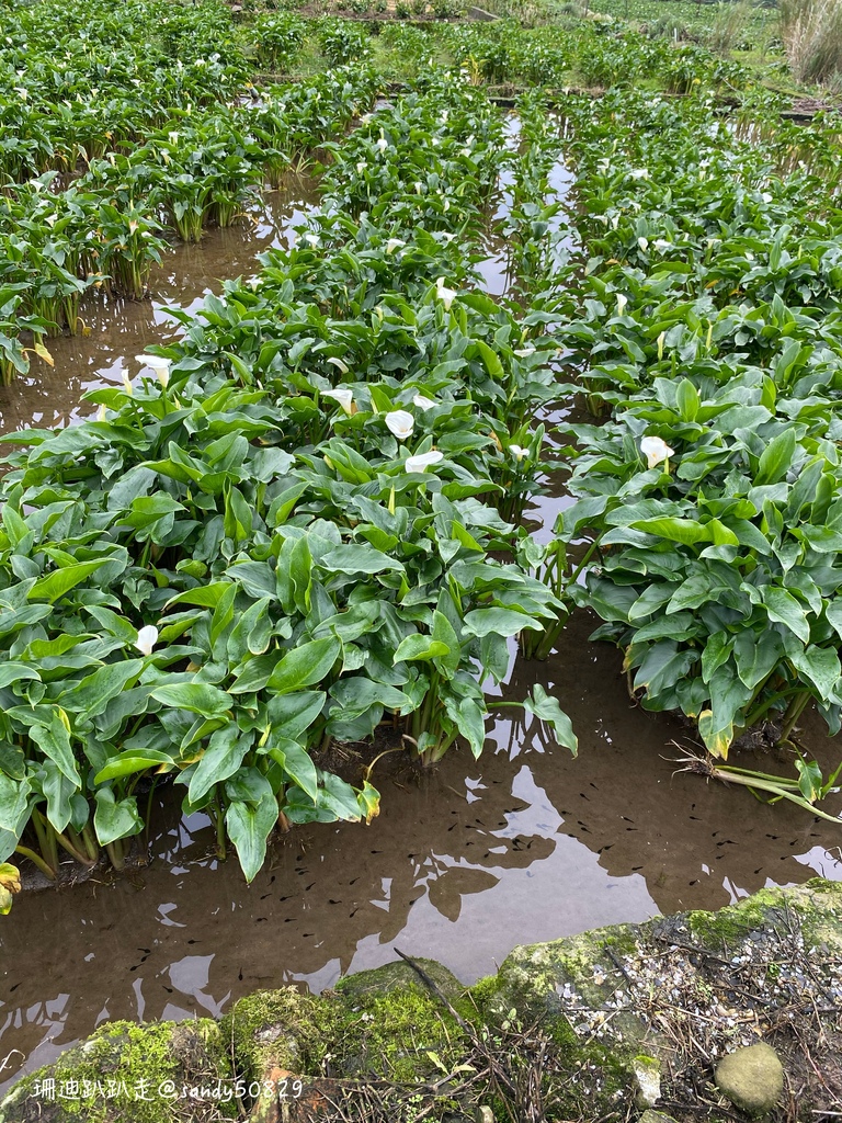 Photo 2020-12-27, 14 48 34_batch.jpg