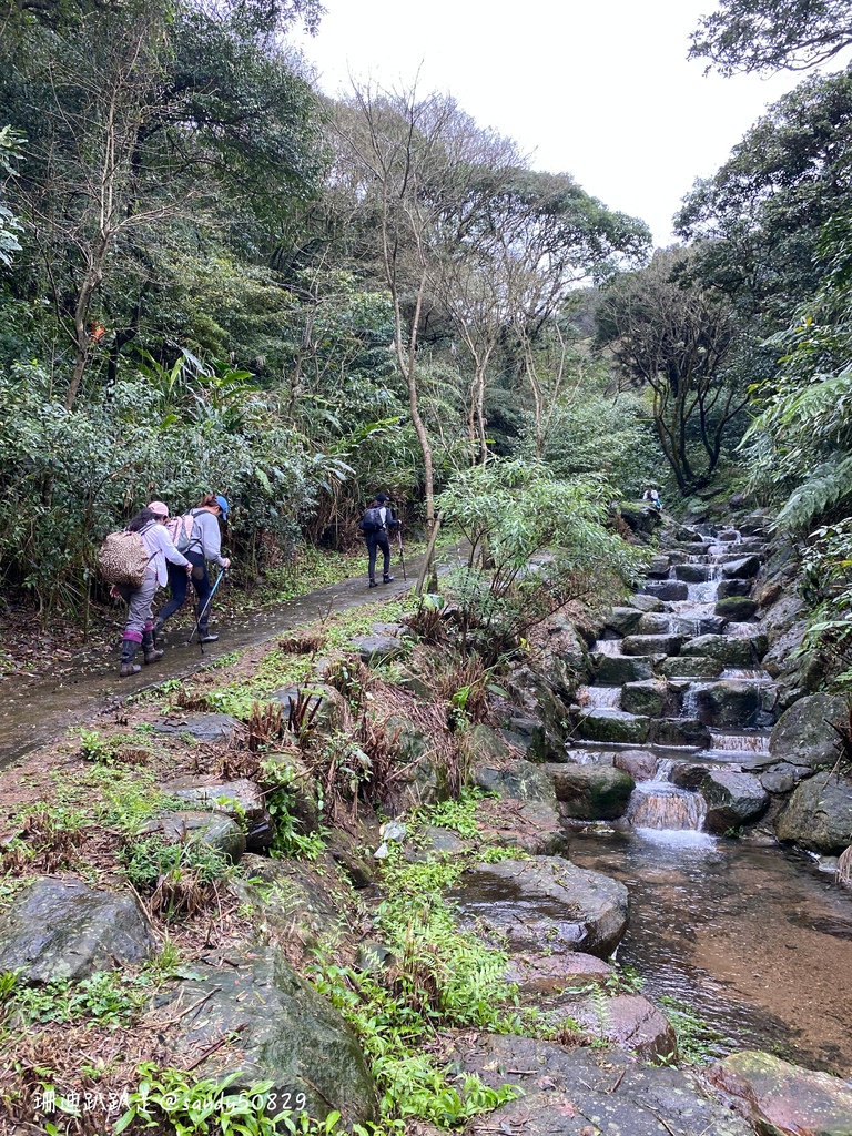 Photo 2020-12-27, 15 08 43_batch.jpg