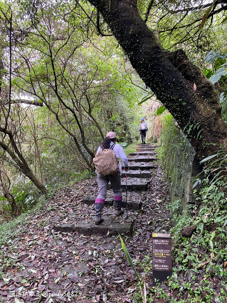 Photo 2020-12-27, 15 11 11_batch.jpg