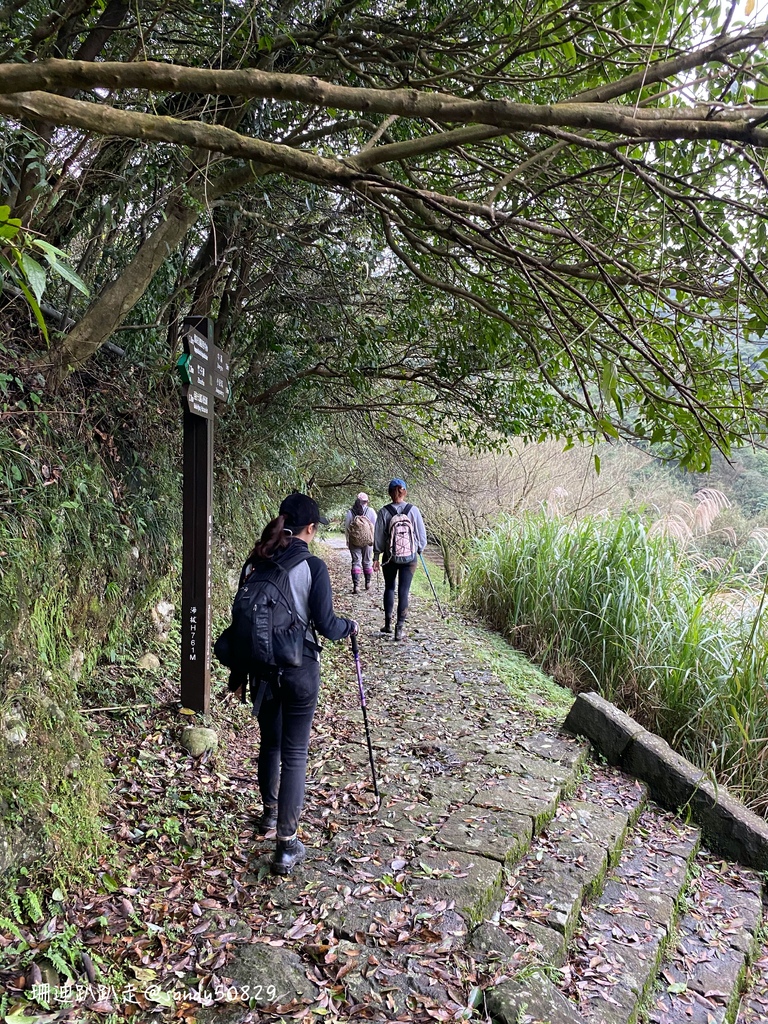 Photo 2020-12-27, 15 19 32_batch.jpg