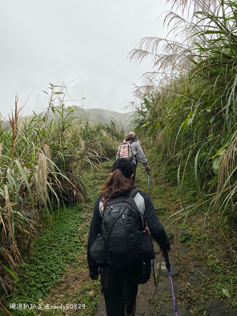 Photo 2020-12-27, 15 25 44_batch.jpg