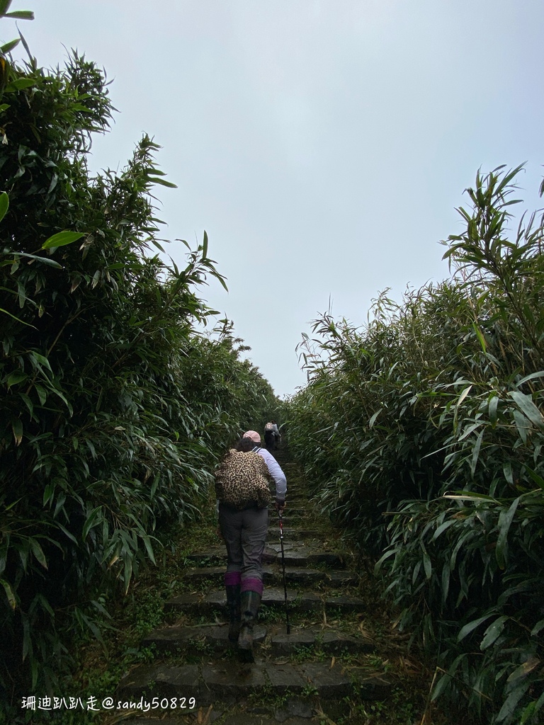 Photo 2020-12-27, 15 36 29_batch.jpg