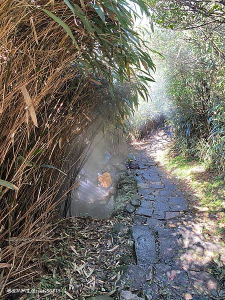 Photo 2021-1-13, 11 43 53_batch.jpg