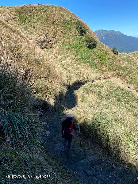 Photo 2021-1-14, 12 05 10_batch.jpg Photo 2021-1-14, 12 05 10_batch.jpg