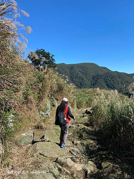 Photo 2021-1-14, 12 23 14_batch.jpg Photo 2021-1-14, 12 23 14_batch.jpg