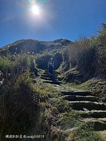 Photo 2021-1-17, 11 55 49_batch.jpg Photo 2021-1-17, 11 55 49_batch.jpg