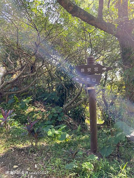 Photo 2021-1-15, 10 26 37_batch.jpg