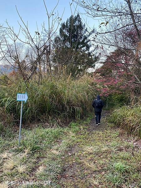 Photo 2021-1-18, 06 50 55_batch.jpg Photo 2021-1-18, 06 50 55_batch.jpg