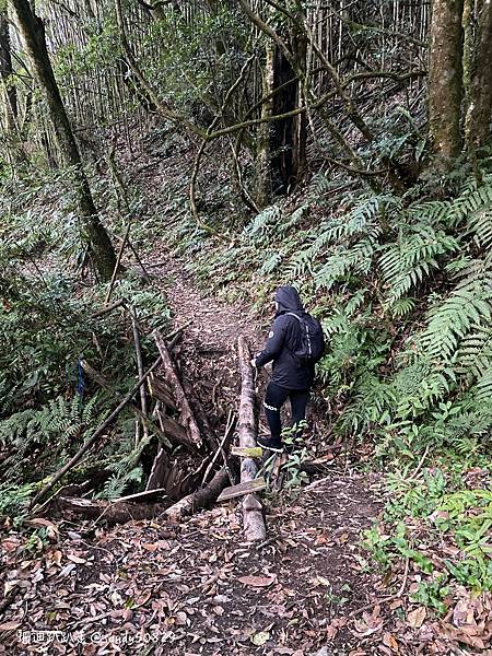 Photo 2021-1-18, 07 00 56_batch.jpg Photo 2021-1-18, 07 00 56_batch.jpg