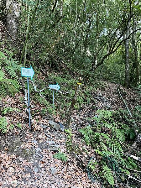 Photo 2021-1-18, 07 02 52_batch.jpg Photo 2021-1-18, 07 02 52_batch.jpg