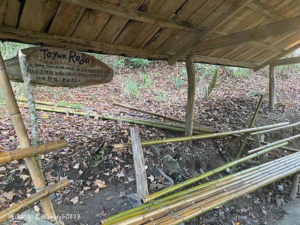 Photo 2021-1-18, 07 42 32_batch.jpg Photo 2021-1-18, 07 42 32_batch.jpg