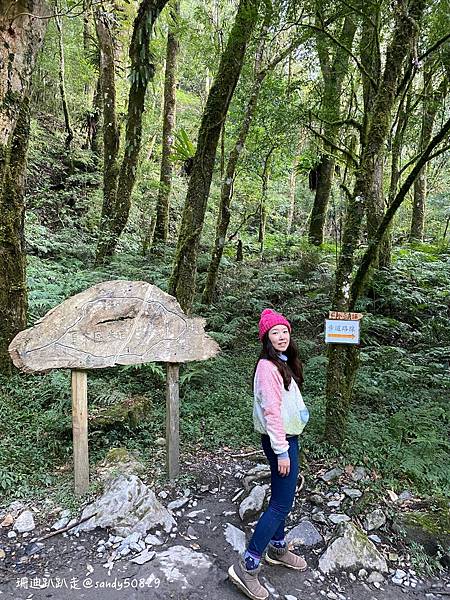 Photo 2021-1-18, 08 26 20_batch.jpg Photo 2021-1-18, 08 26 20_batch.jpg