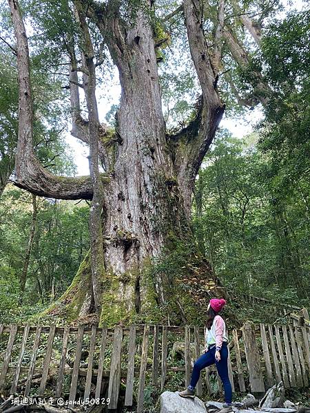 Photo 2021-1-18, 08 43 28_batch.jpg Photo 2021-1-18, 08 43 28_batch.jpg