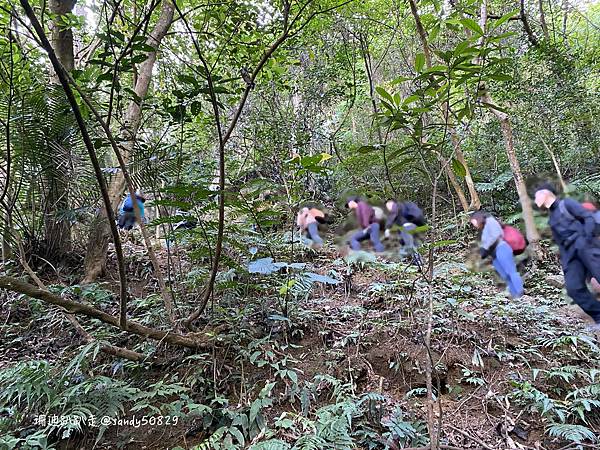 Photo 2021-1-31, 08 43 19_batch.jpg