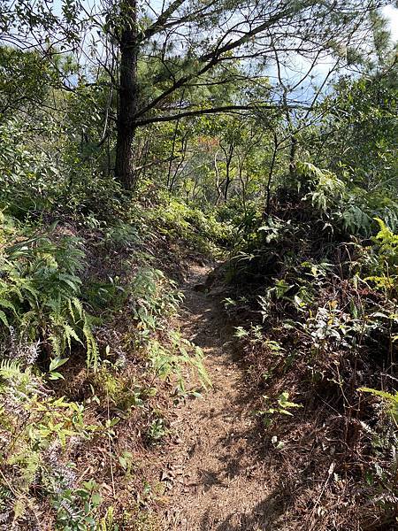 Photo 2021-2-20, 14 49 52.jpg