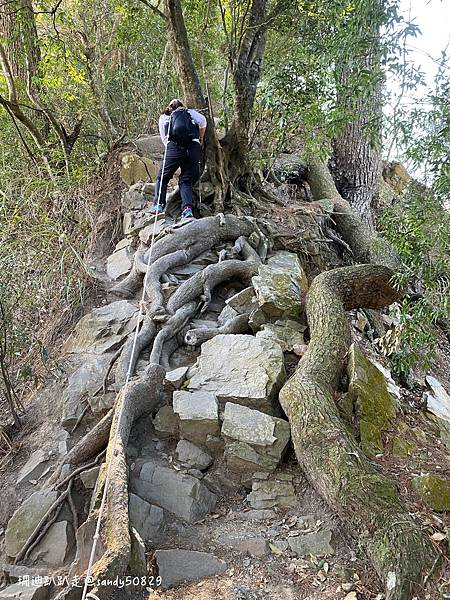 Photo 2021-2-25, 09 19 07_batch.jpg