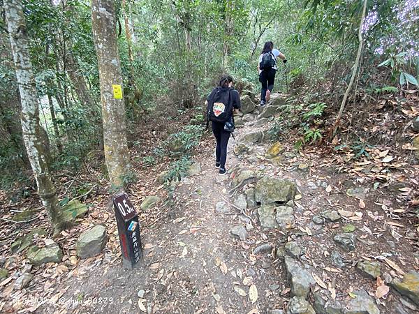 Photo 2021-2-25, 09 45 18_batch.jpg