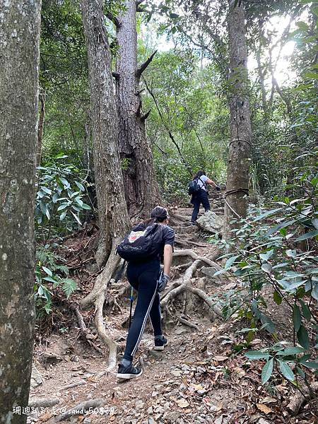 Photo 2021-2-25, 10 04 15_batch.jpg