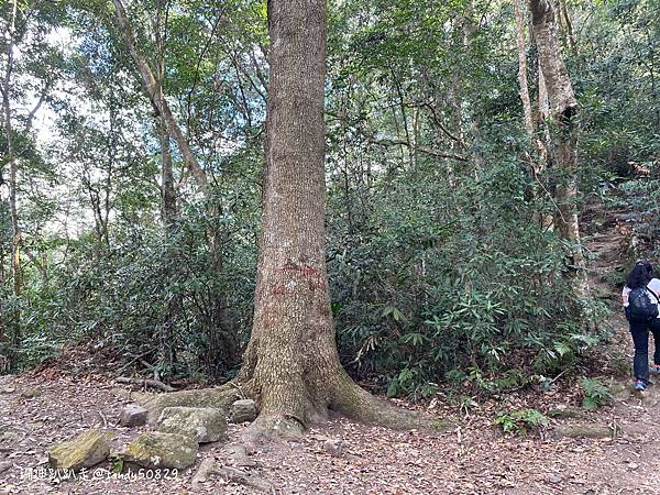 Photo 2021-2-25, 10 21 09_batch.jpg