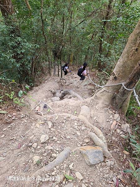 Photo 2021-2-28, 00 05 44_batch.jpg