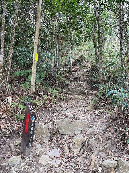 Photo 2021-2-25, 10 53 15_batch.jpg