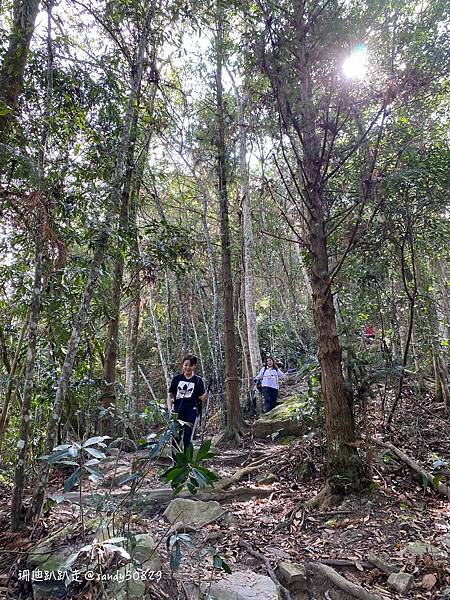 Photo 2021-2-25, 12 08 01_batch.jpg Photo 2021-2-25, 12 08 01_batch.jpg