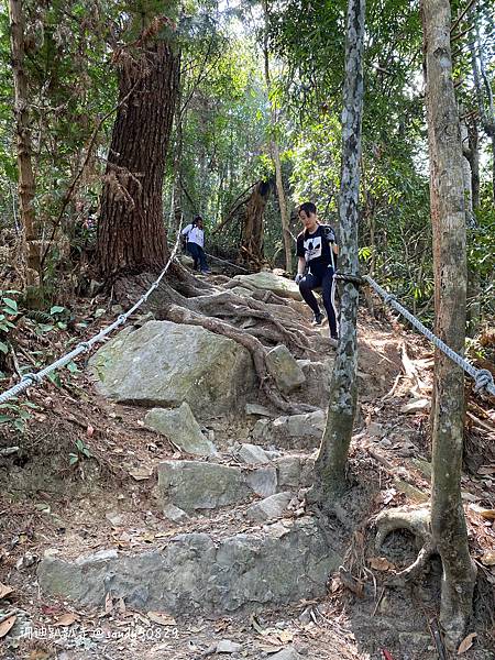 Photo 2021-2-25, 12 06 45_batch.jpg Photo 2021-2-25, 12 06 45_batch.jpg